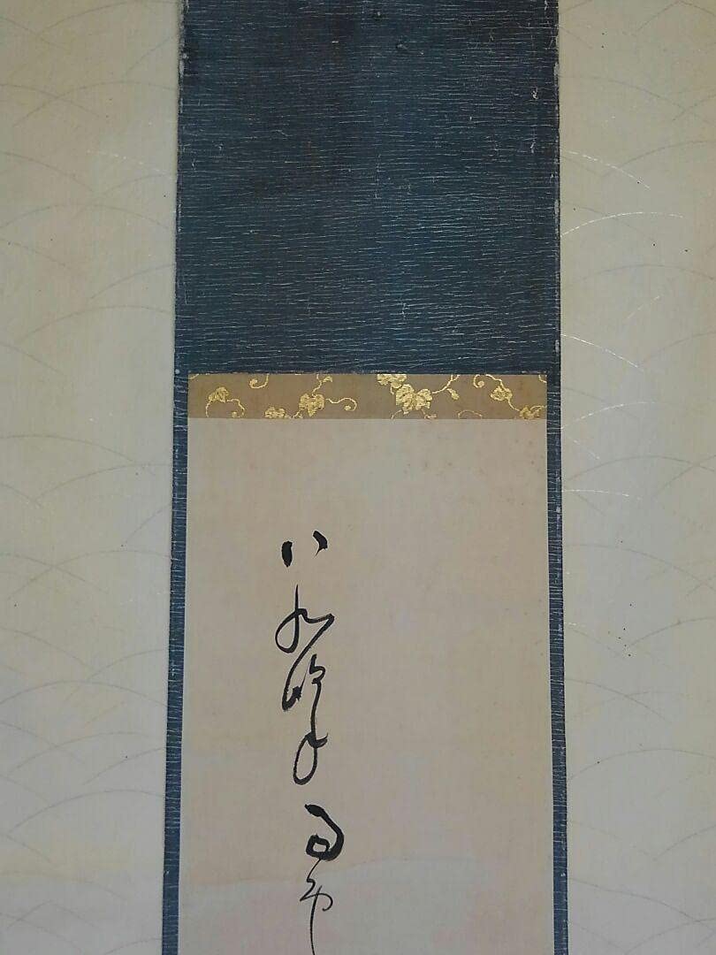 Amazon.co.jp: 蔵くら 掛軸 俳句 短歌 朝顔 青々 桐箱付き 201111 M
